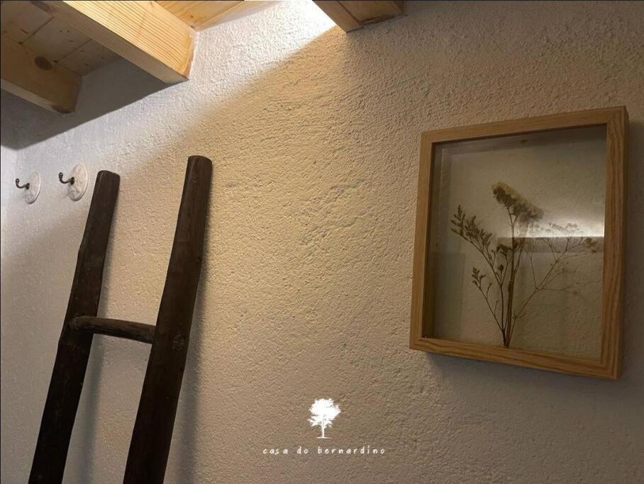 Cabril Casa Do Bernardino别墅 外观 照片