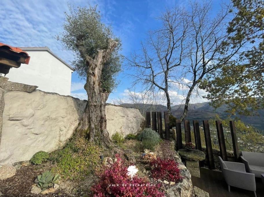 Cabril Casa Do Bernardino别墅 外观 照片